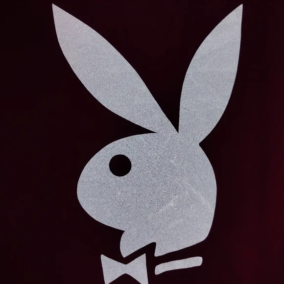 PLAYBOY by PACSUN Hot Pink Hoodie Nylon Poly size Small Reflective Logo - Picture 13 of 17